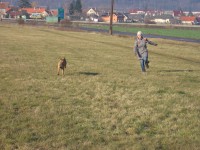 /album/fotogalerie-uvodni-stranka/img-258-jpg1/